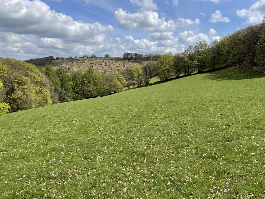 East Anstey Land for sale £400,000