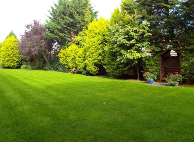 Communal gardens:  pic 1