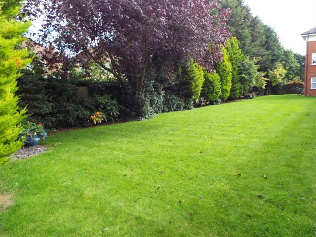 Communal gardens:  pic 2