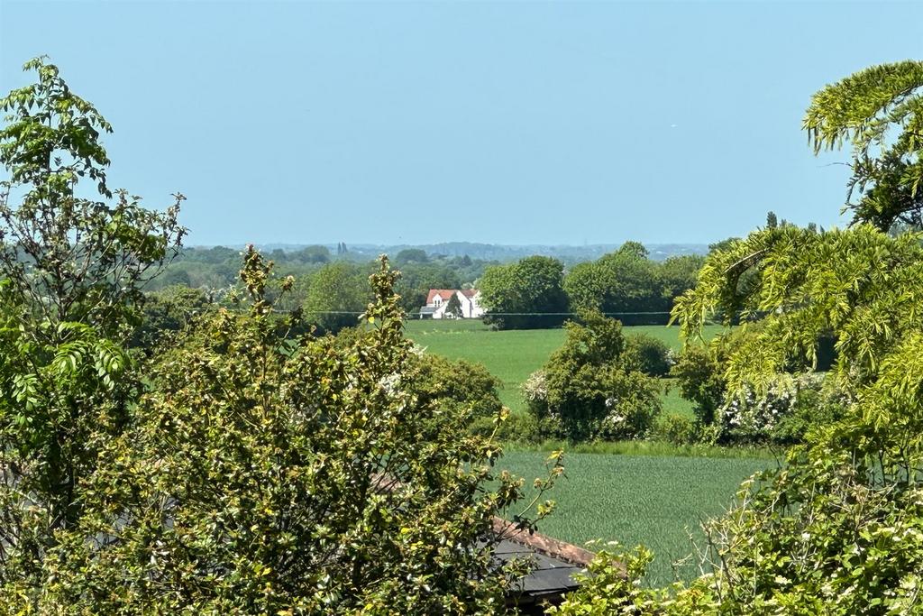 IMG 0342.jpg