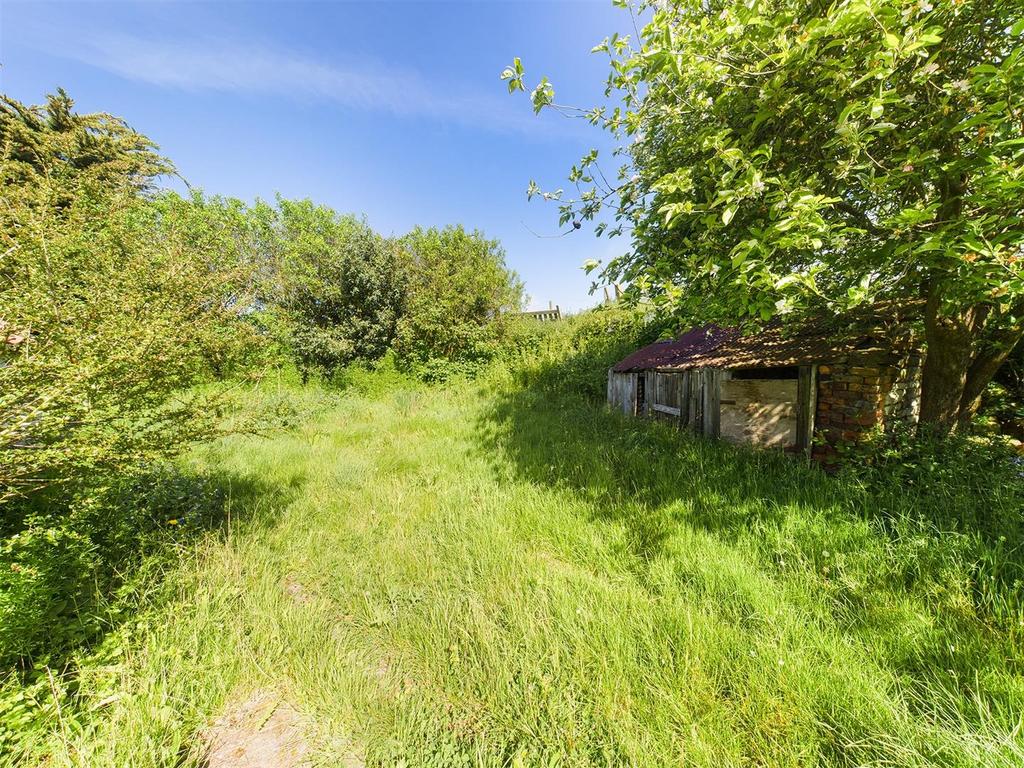 Garden: