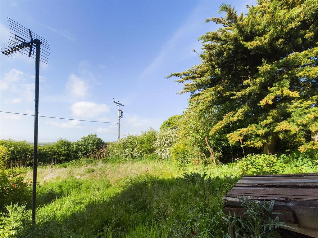 Garden: