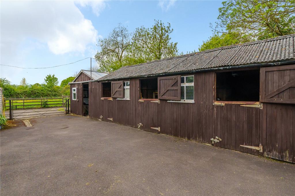 Picture 17