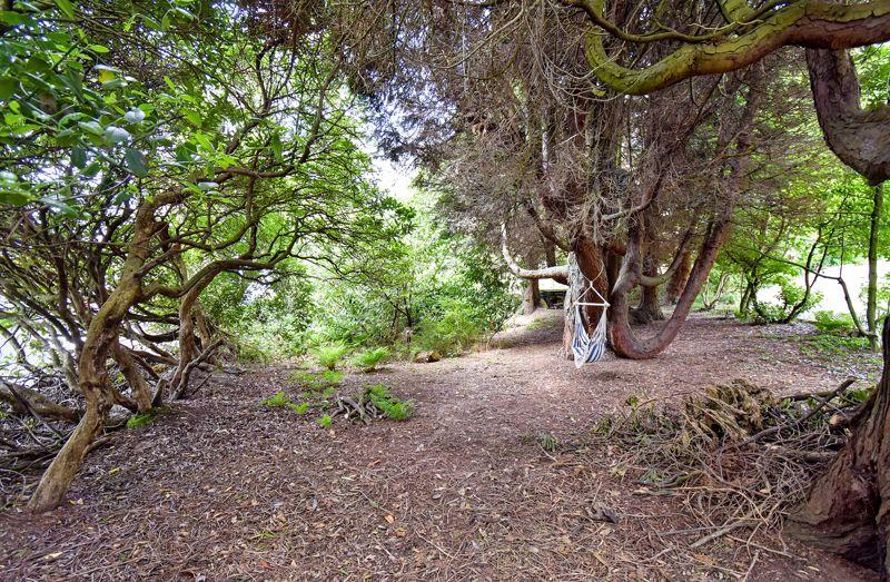 Private Woodland