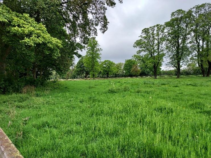 6.62 Acres (2.68ha) permanent grassland, Askham Bryan Land for sale £