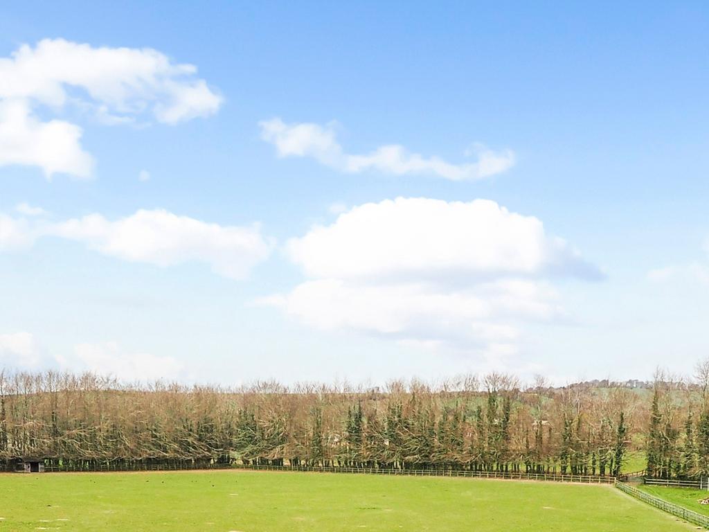 ONE ACRE PADDOCK CORHAMPTON Land for sale £75,000