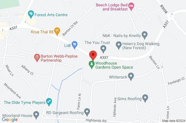 Google Maps Image