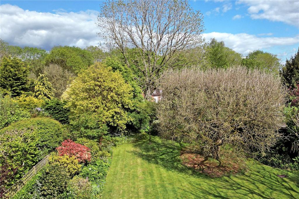 View Of Garden
