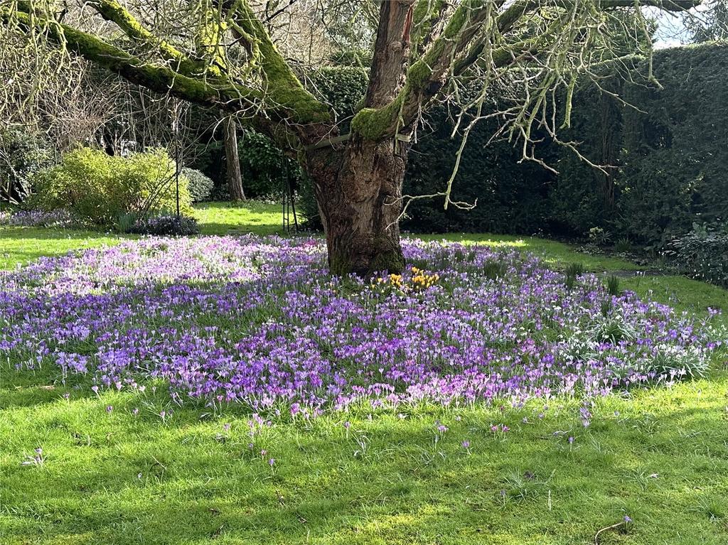 Spring