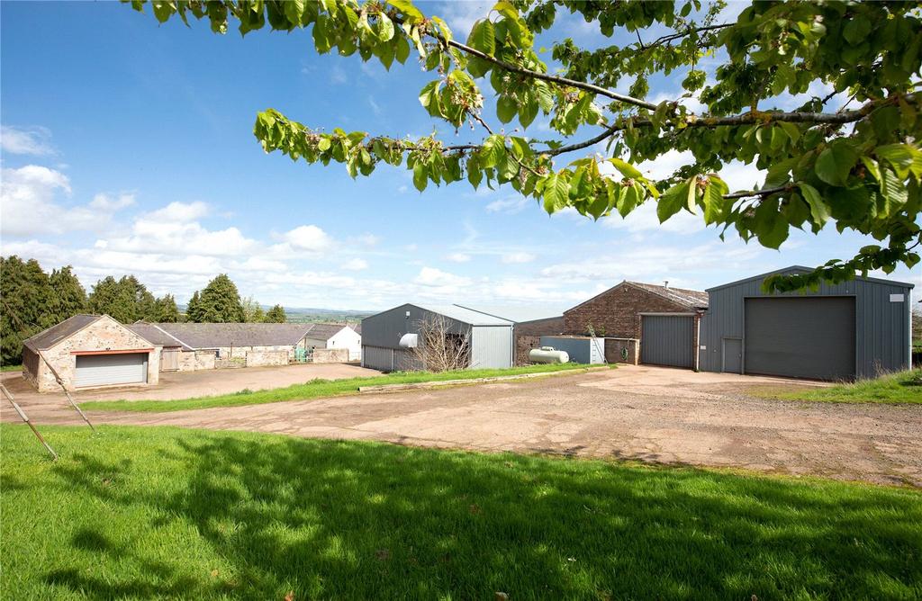 Sheds