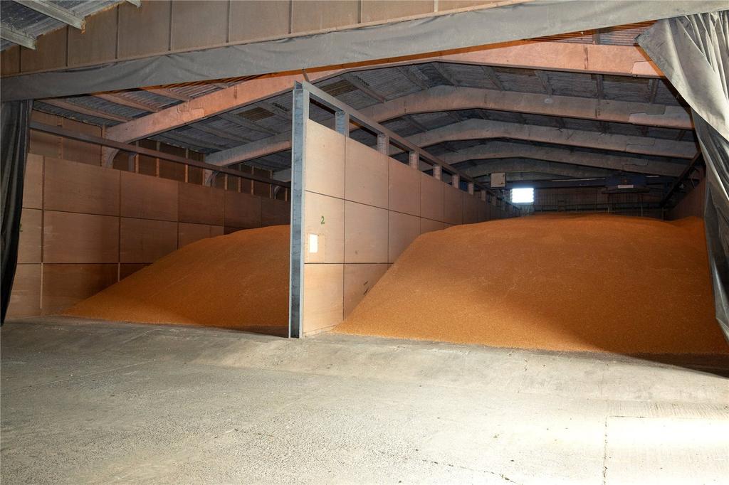Shed Internal