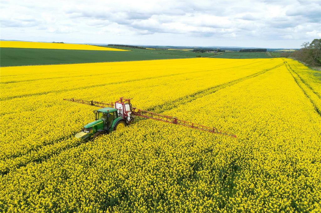 Spraying