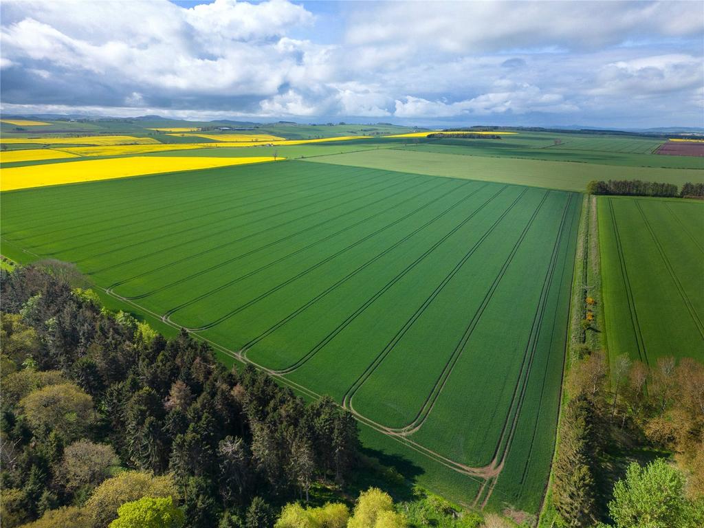 Land