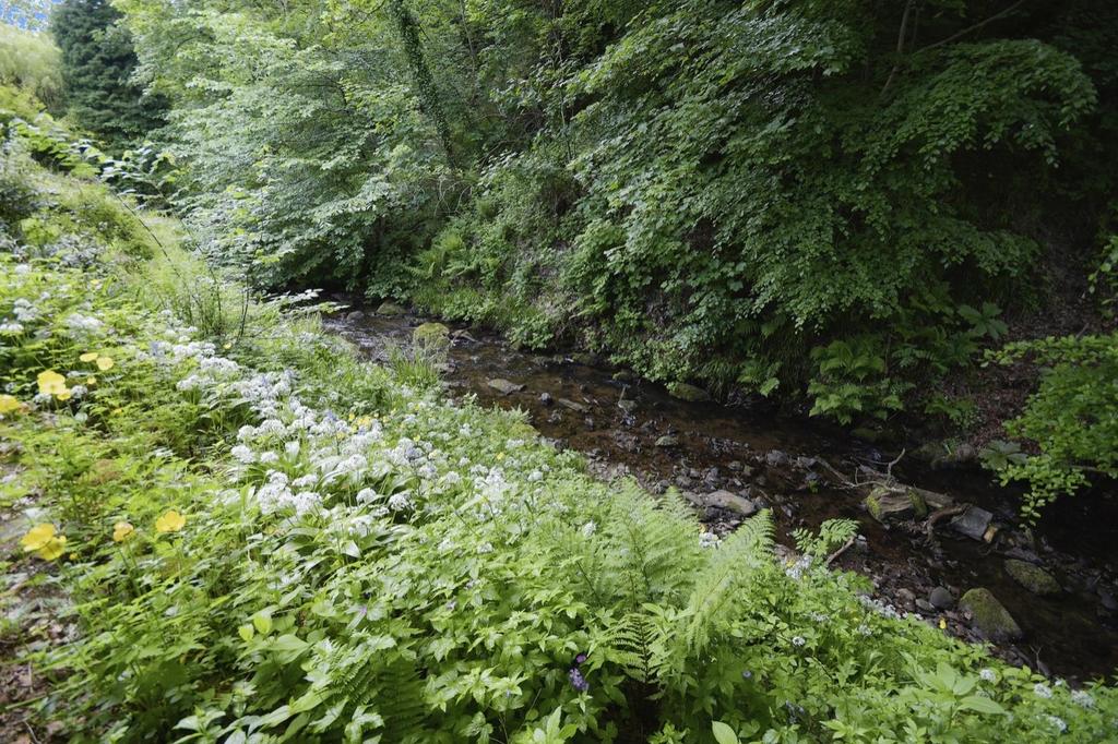 River to the rear