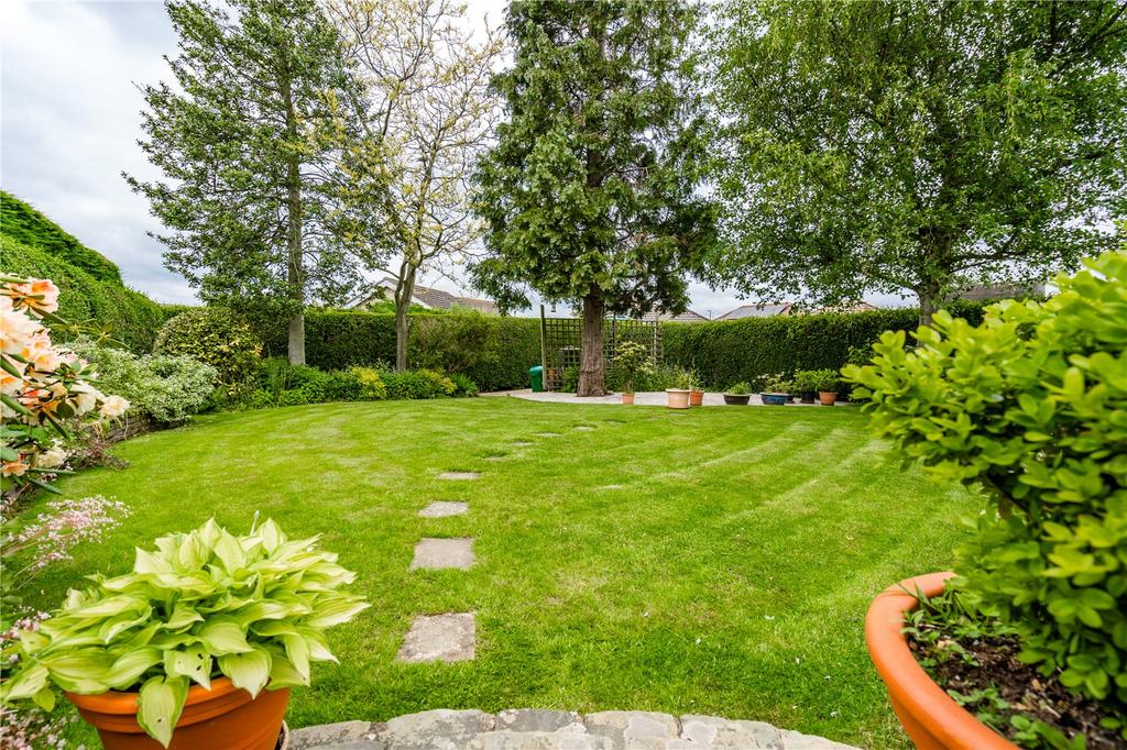 Garden (3)