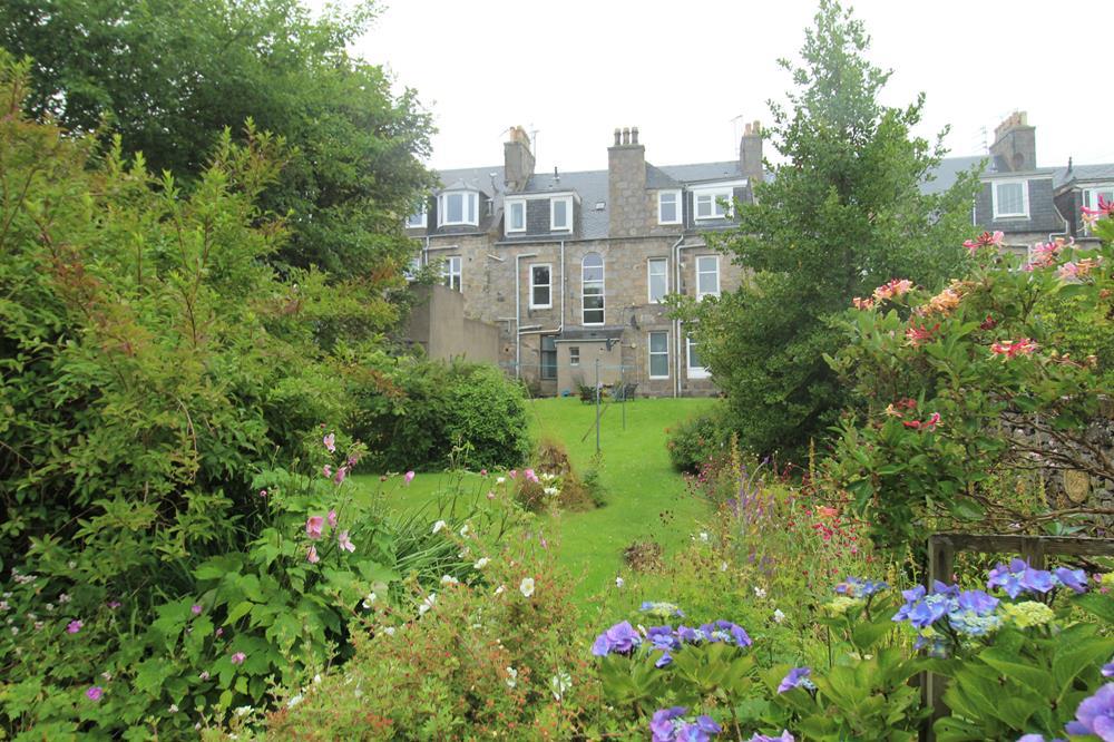 Garden 1