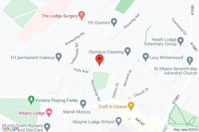 Google Maps Image
