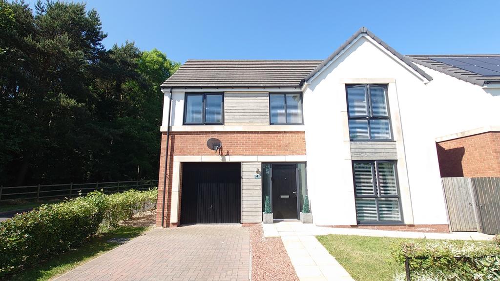 Dsc 8743