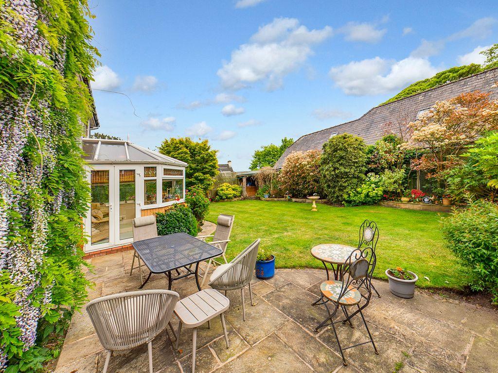 Garden at Back