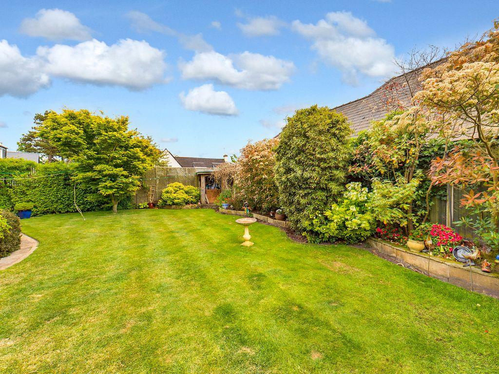 Garden at Back