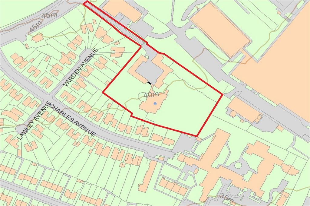 (Main)