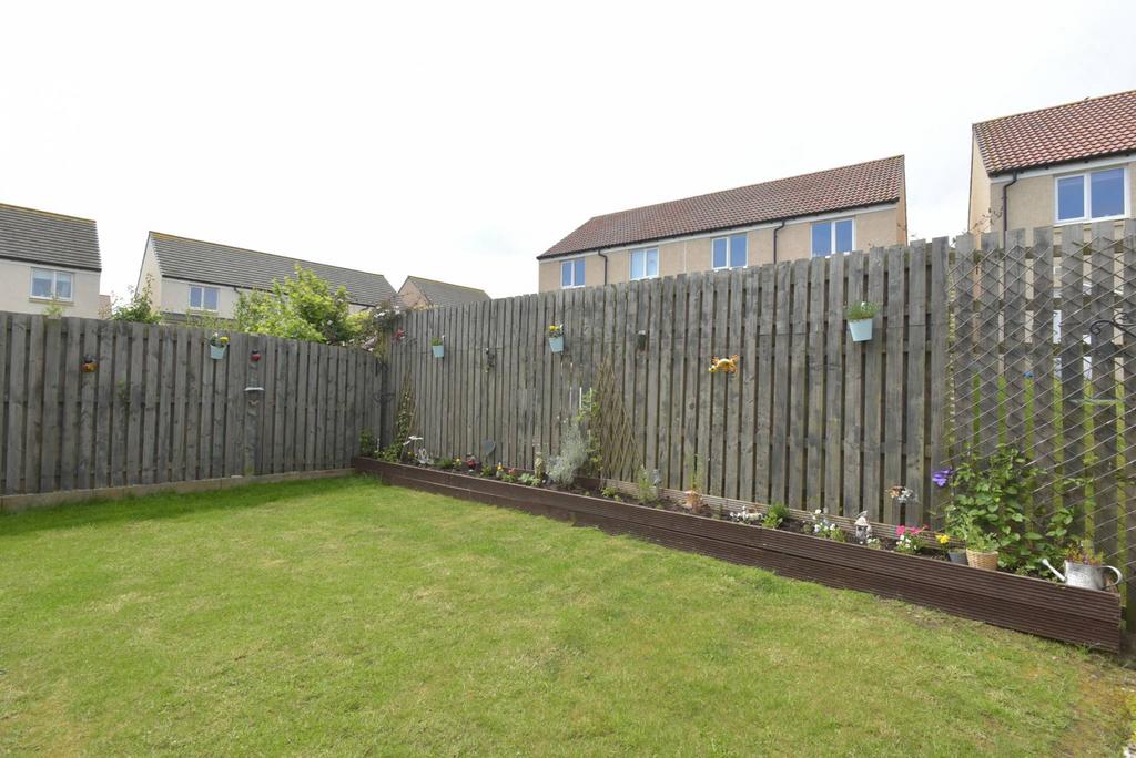 MFL3220770 382.jpg