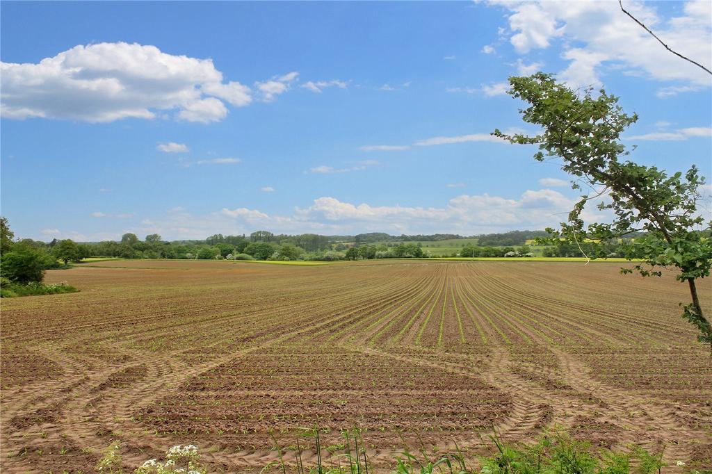 Field Views