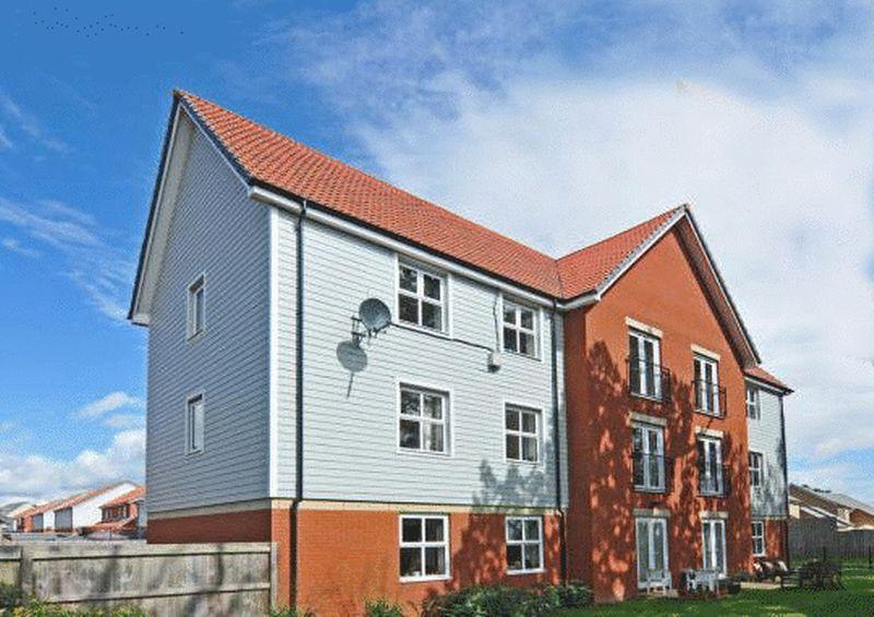 External rear