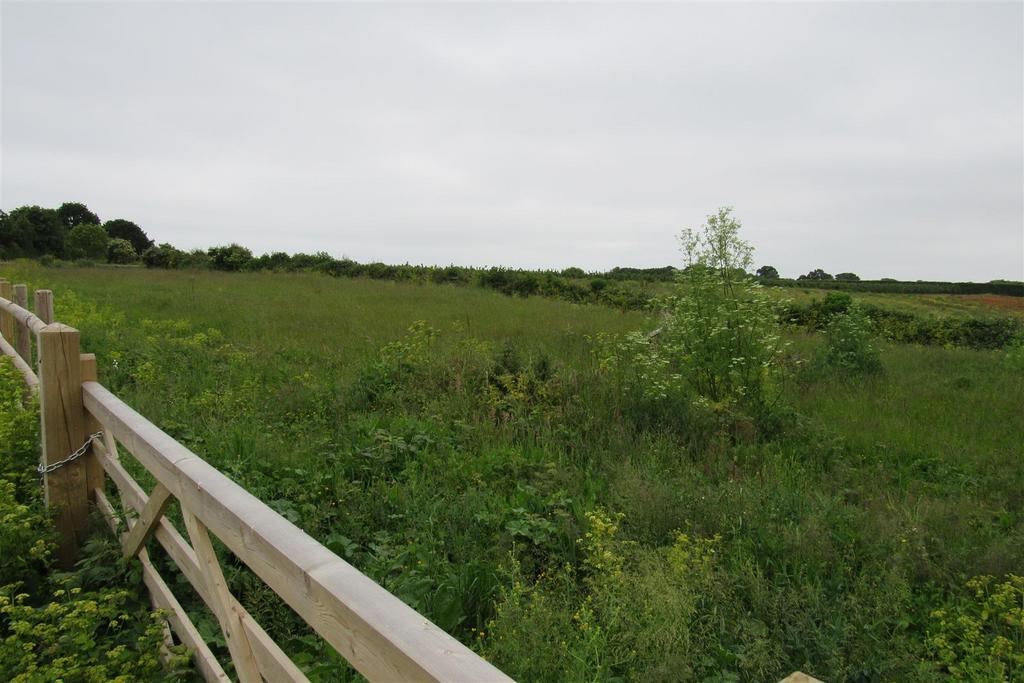 Img 4899.jpg