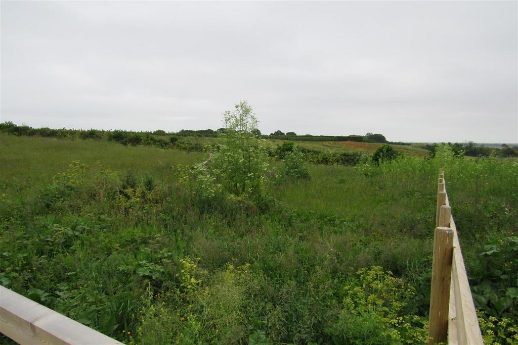 Img 4900.jpg