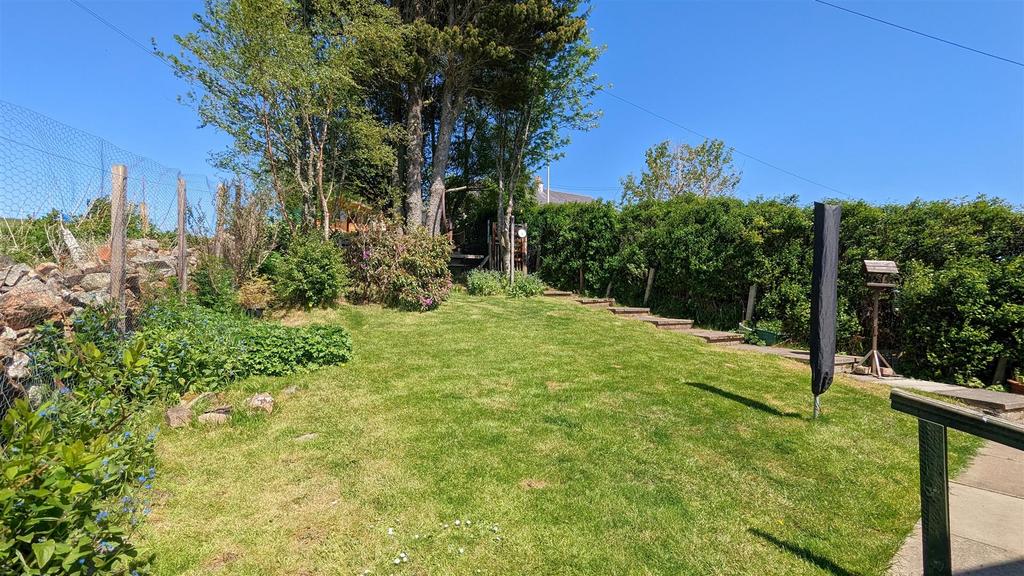 Back garden