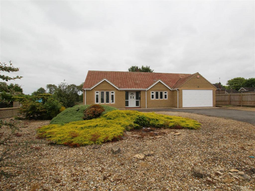 Front Aspect