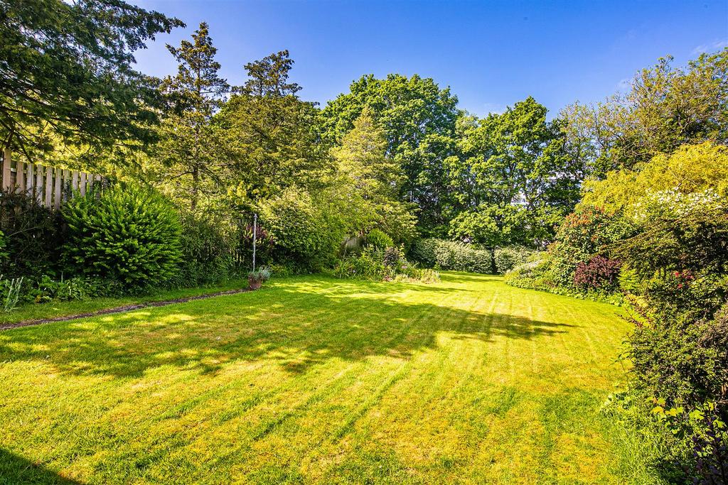Rear garden 2