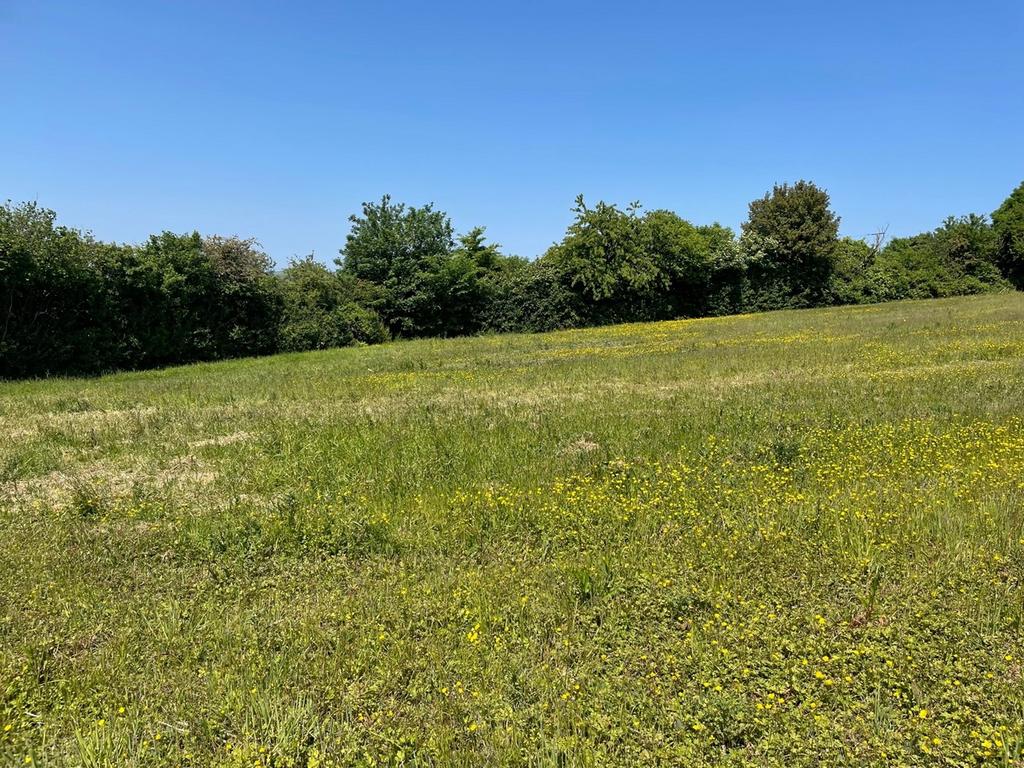 Lot B Top Road, Draycott, Cheddar, BS27 Farm land for sale £30,000