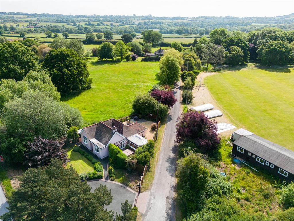 DJI 0319.jpg