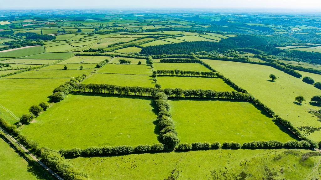 Yarde Down, South Molton, Devon, EX36 Land for sale £850,000