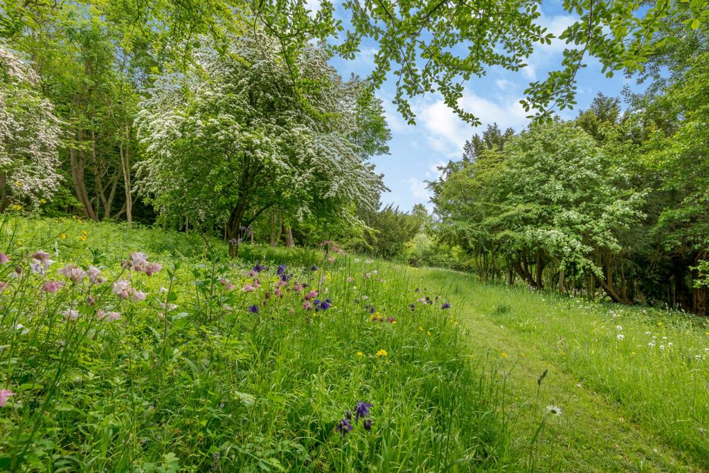 Grounds