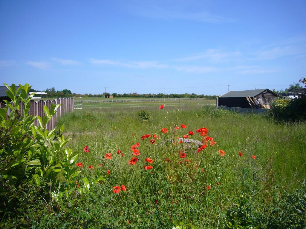 Building Plot, Main Street, Pollington, Nr Goole, DN14 0DH Land for