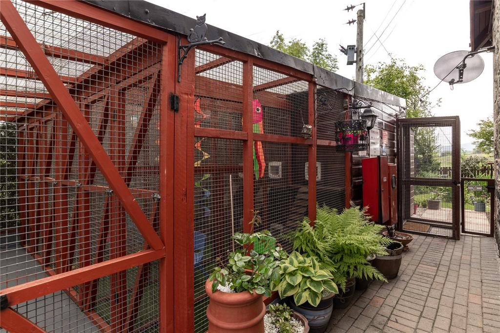 Cattery