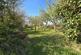 Additional image 15 of Crackington Haven, Bude, Cornwall, EX23