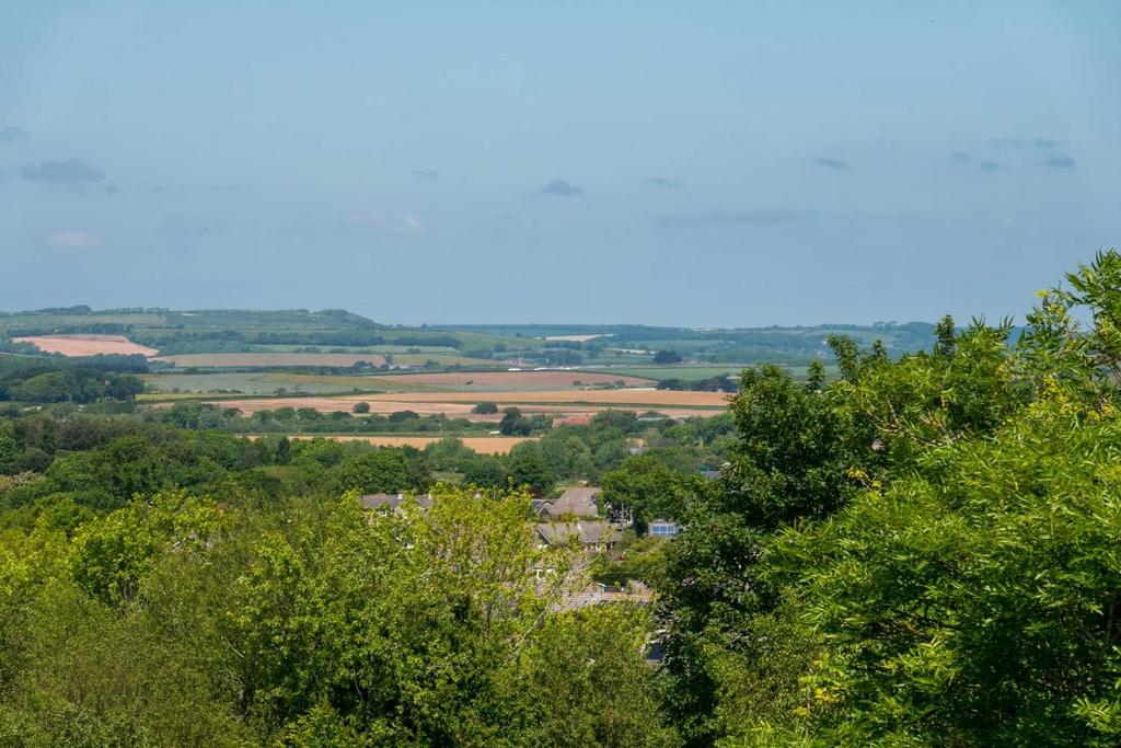 View from Attic Room