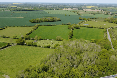 Land for sale, Thorington, Nr Southwold, Suffolk