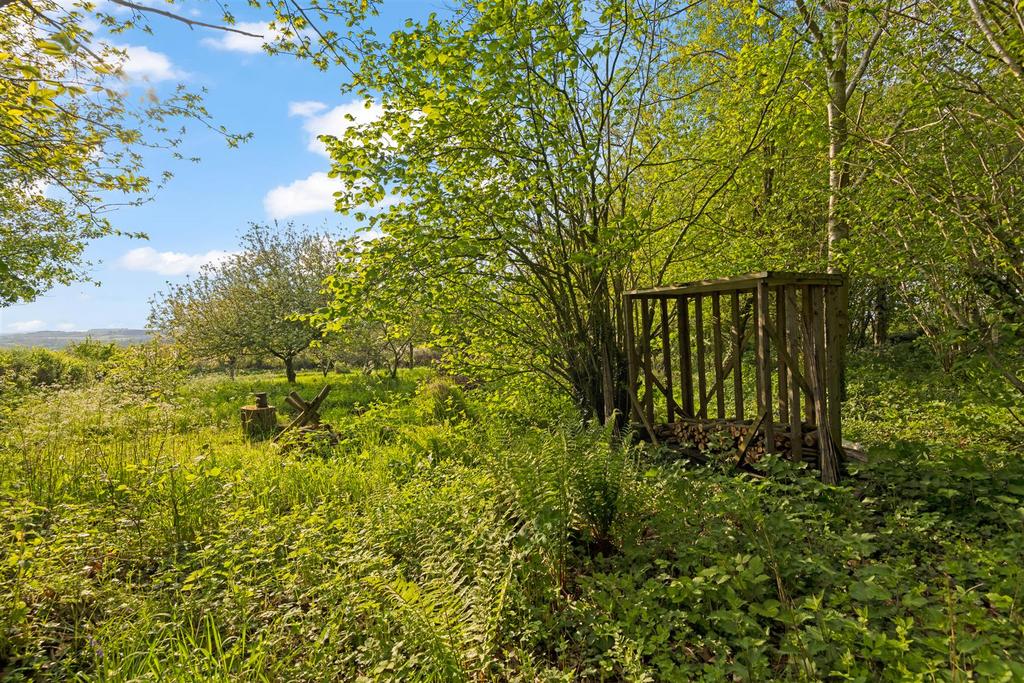 Copse