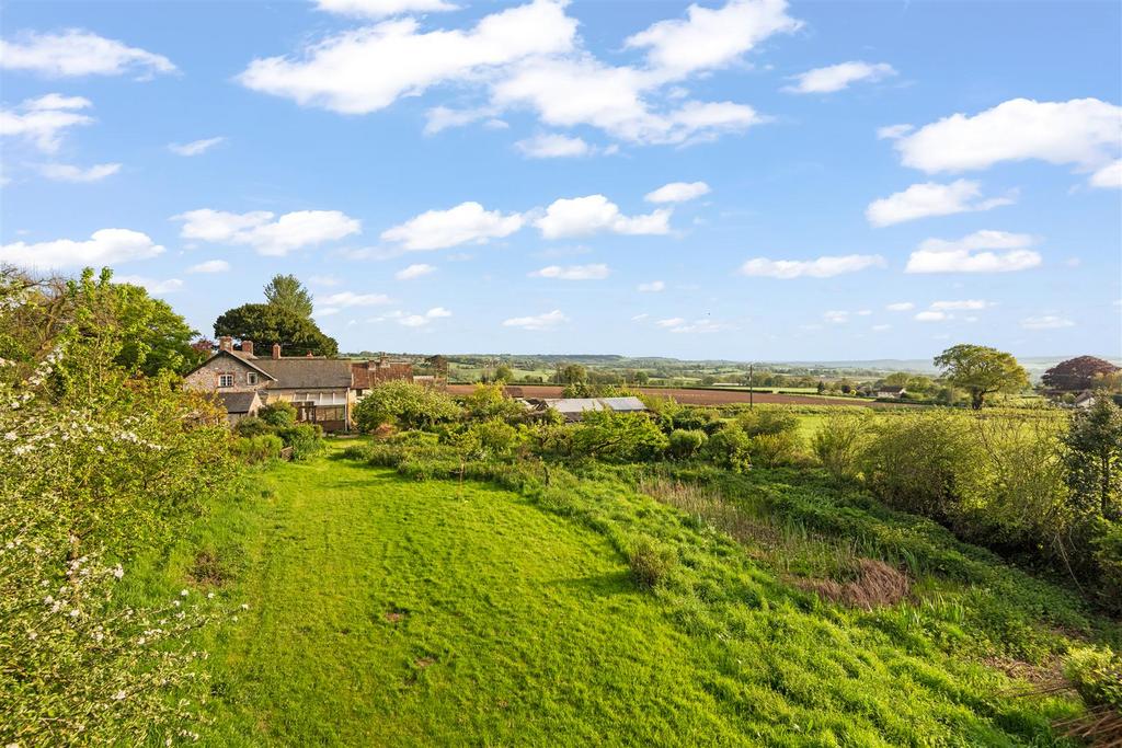 Grass and Reed Bed