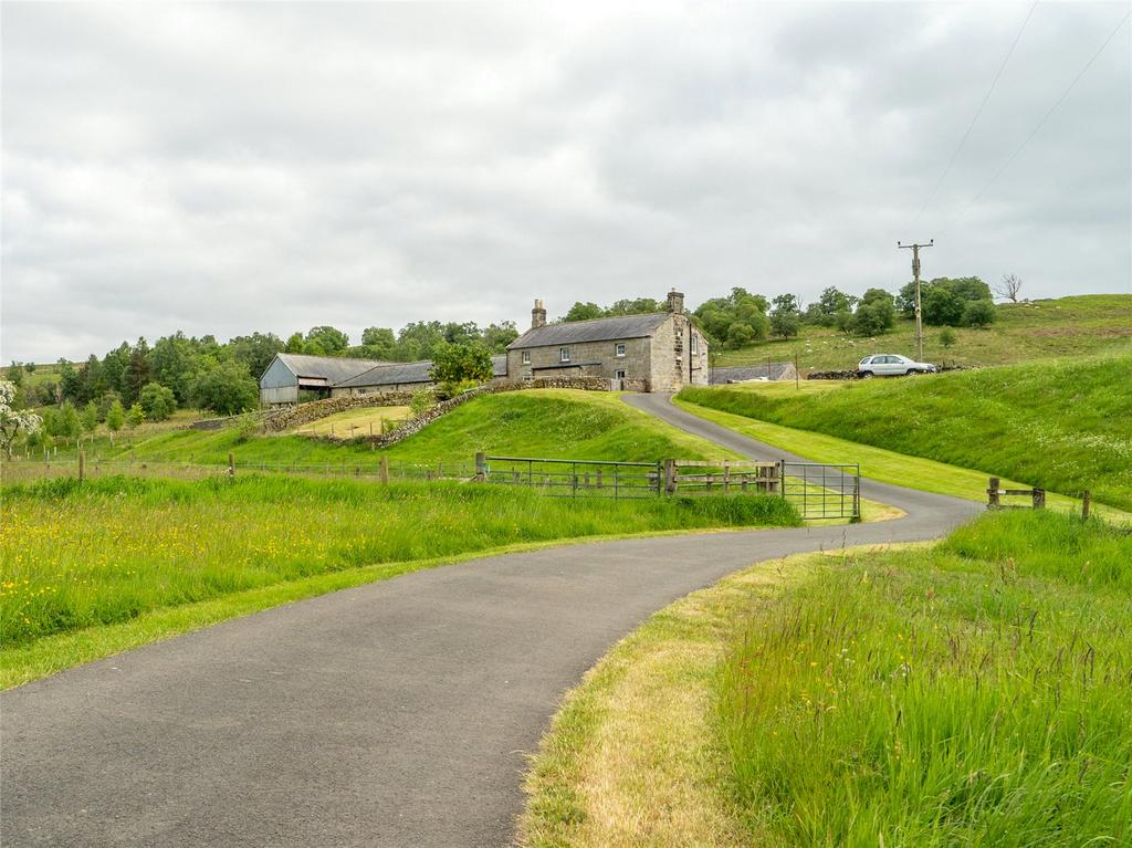 Main Driveway