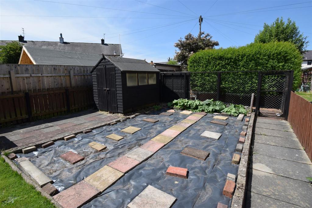 Veg patch.jpg