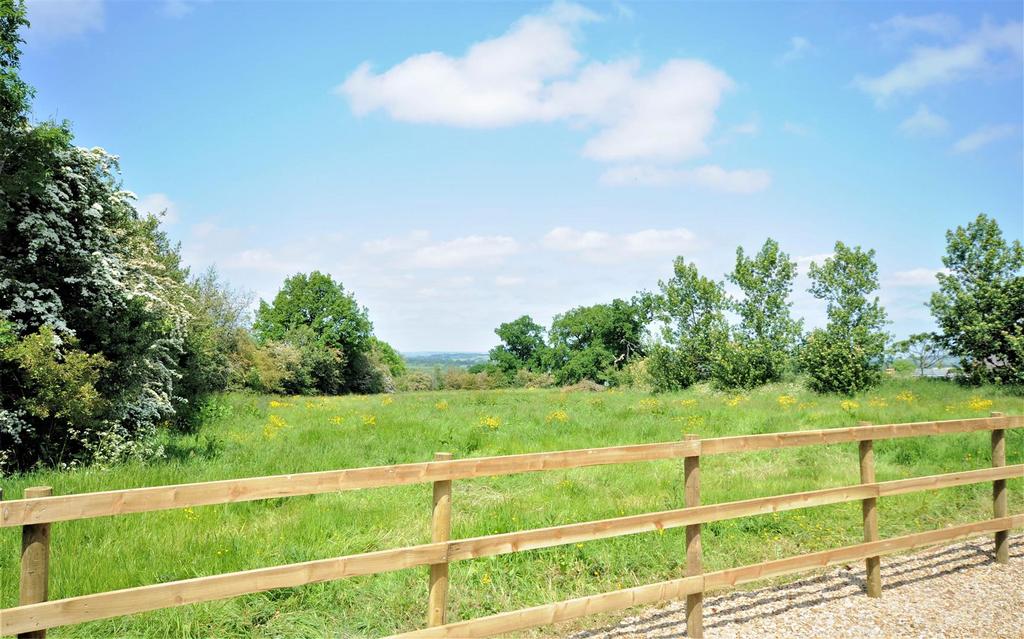 Dsc 0128.jpg