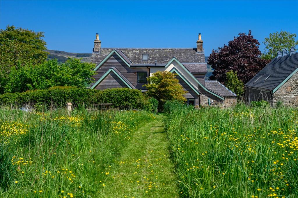 Wildflower Meadow