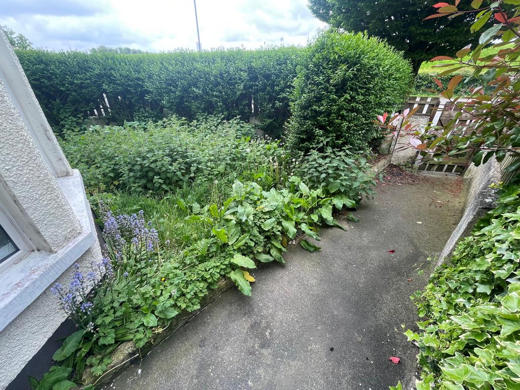 Img 7186 jpeg