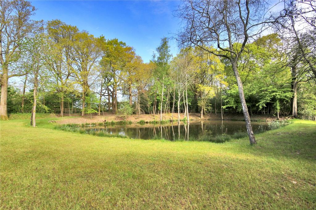 Pond